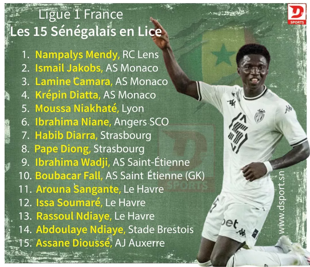 France (L1): 15 Sénégalais en lice, 10 binationaux