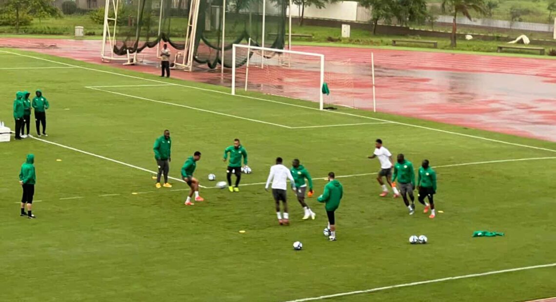 Entrainements des Lions