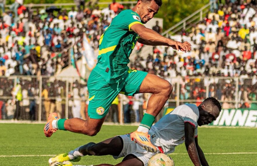 Iliman Ndiaye dans ses oeuvres