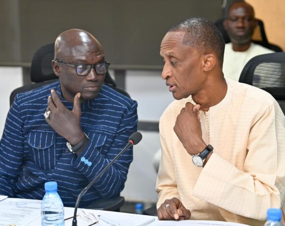 Comité exécutif FSF