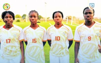 Aigles de la Médina