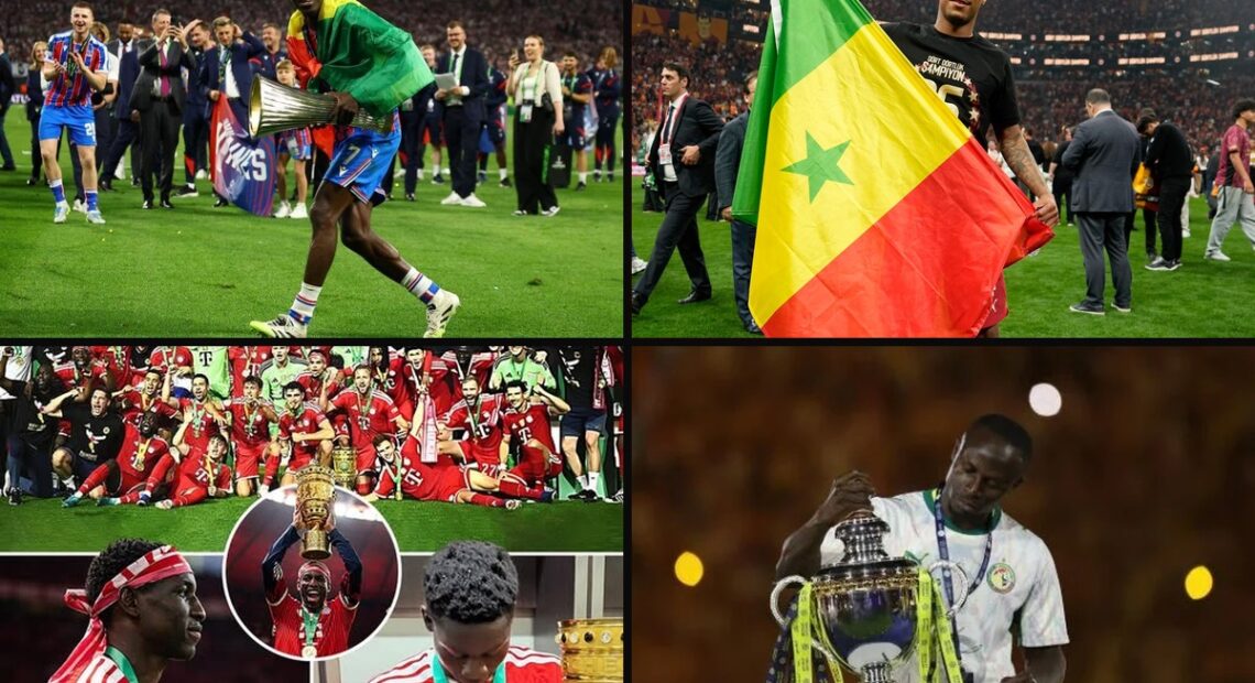 Le bilan des Lions en club
