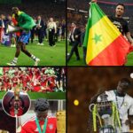 Le bilan des Lions en club