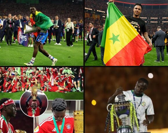 Le bilan des Lions en club