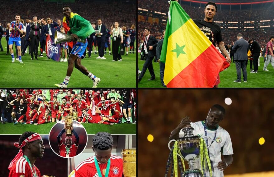Le bilan des Lions en club