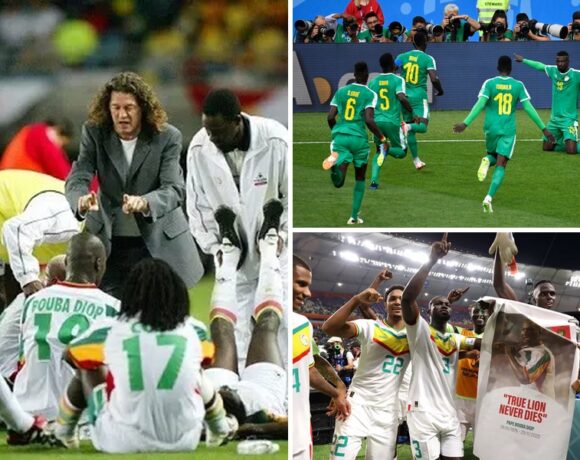 Parcours des Lions en Coupe du monde