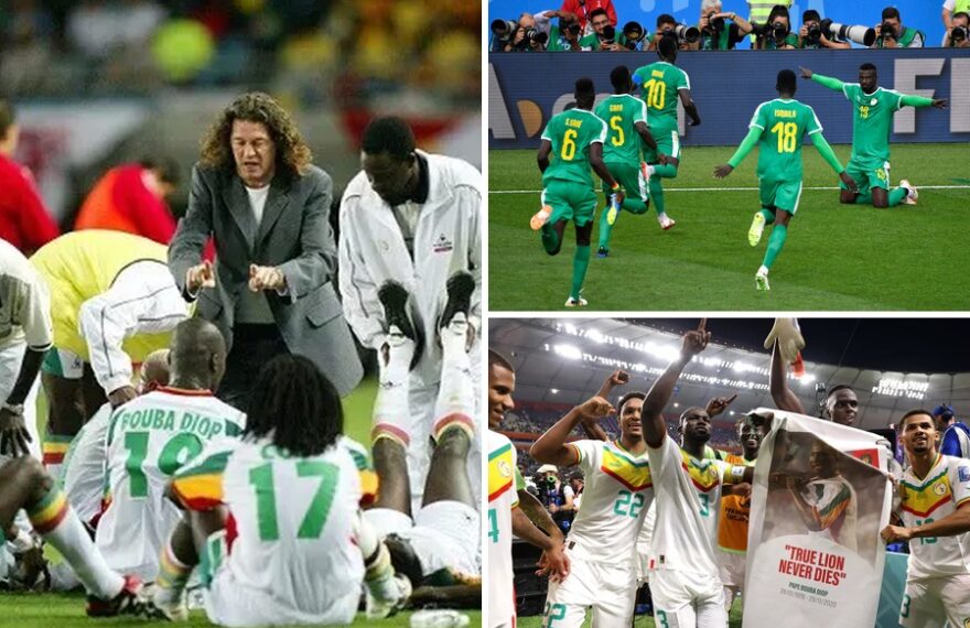 Parcours des Lions en Coupe du monde