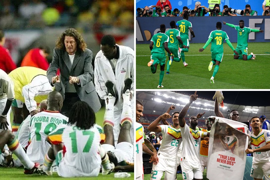 Parcours des Lions en Coupe du monde