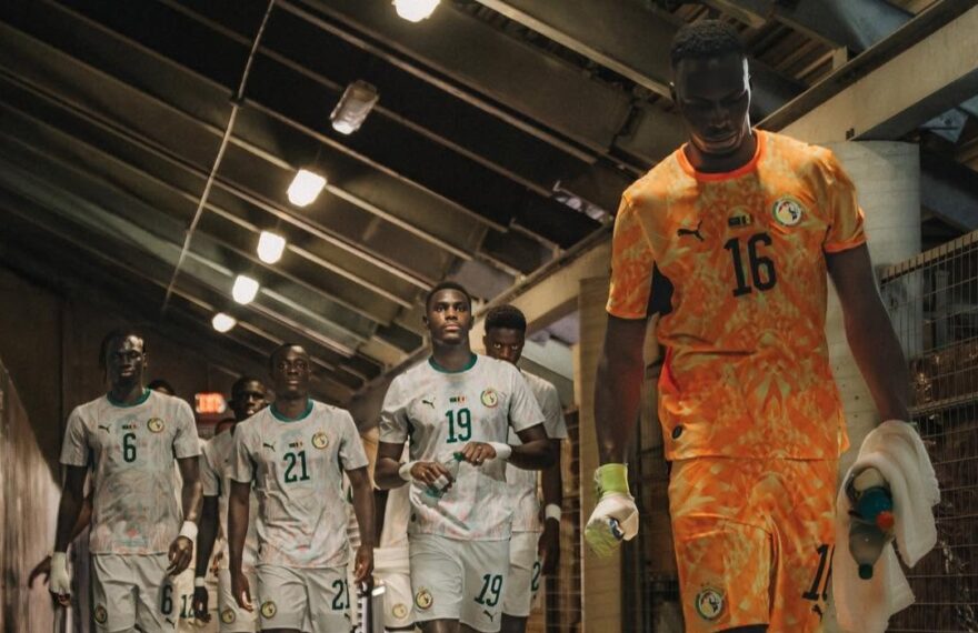 Les Lions du Sénégal
